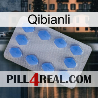 Qibianli 21